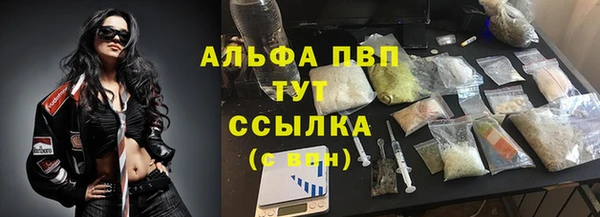 прущие грибы Нязепетровск