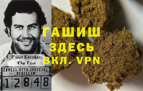 прущие грибы Нязепетровск