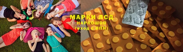 прущие грибы Нязепетровск